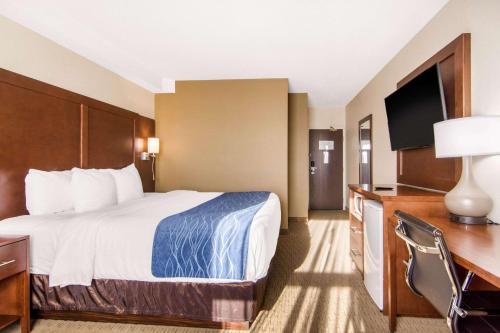 Comfort Inn & Suites Medicine Hat