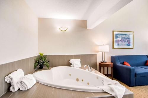 Comfort Inn & Suites Medicine Hat