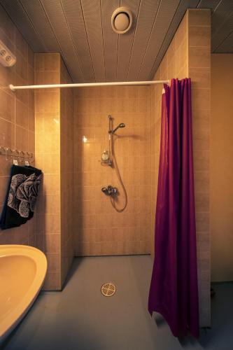 Alexi Villa - image 10