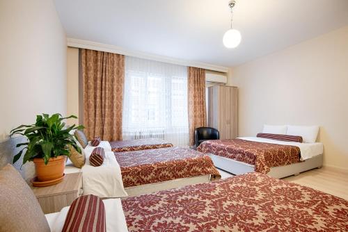Chambre, familiale, 3 lits