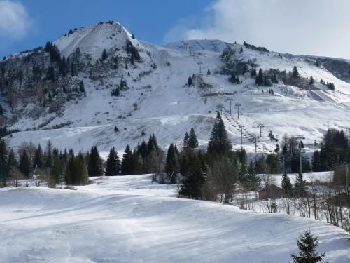 Les Amborzales Le Grand Bornand