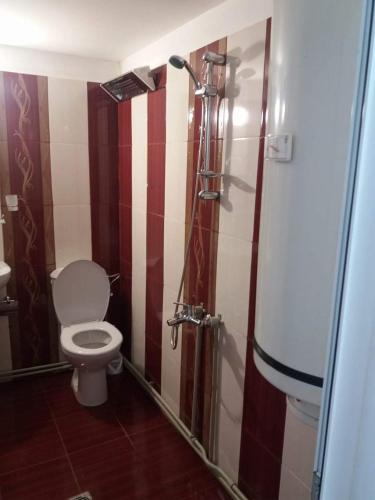 5 bedrooms, 11 beds