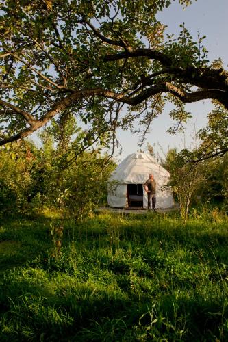 Bel-Zhan Yurt Lodge in Grigorievka