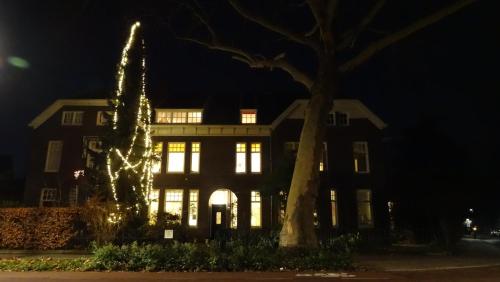 B&B Boutiquehotel Sycamore - A Protected City View - image 2