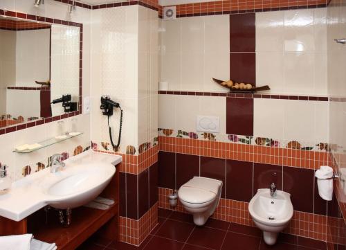 Hotel Česká Koruna - main image