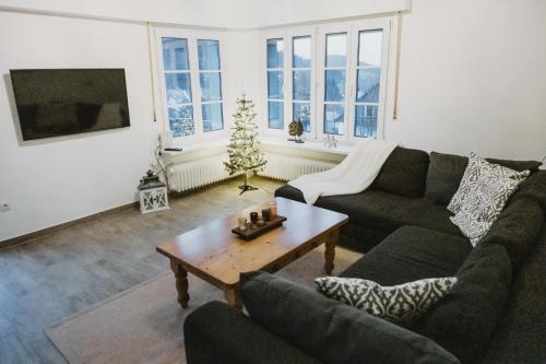 Ferienhaus Schneeweiß - Winterberg