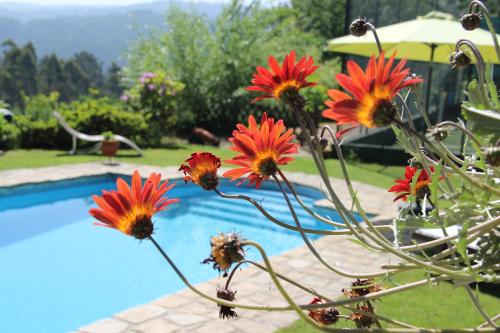  Quinta do Gigante - Ecofarm in Sever do Vouga