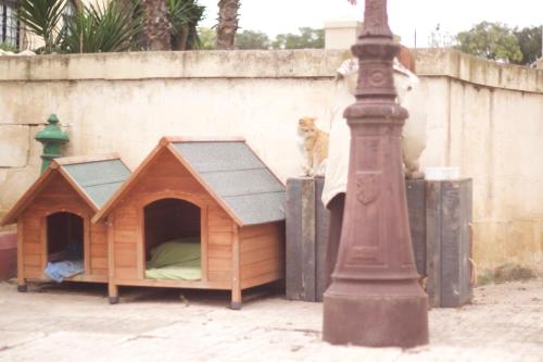 8vilhena - image 8