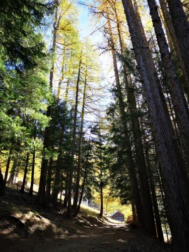 Chalet Le Trient in Trient VS, Schweiz