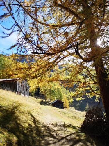 Chalet Le Trient in Trient VS, Schweiz