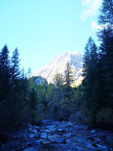 Chalet Le Trient in Trient VS, Schweiz