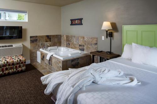 1 twin bed