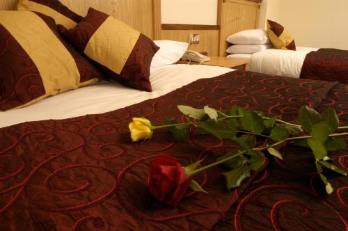 Bush Hotel - image 4