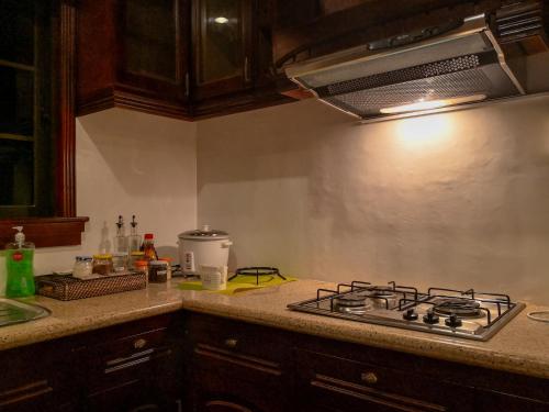 Spinning Cat Hostel in Bohol