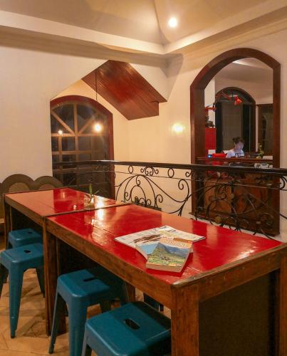 Spinning Cat Hostel in Bohol