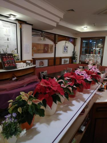 Hotel König - image 5