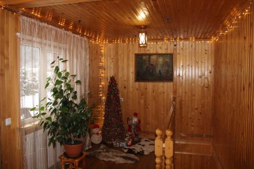 Cottage Milena in Mykulychyn