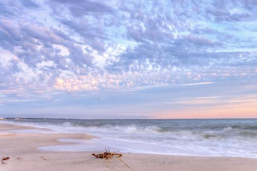 Sweet Home Alabama in Dauphin Island, USA