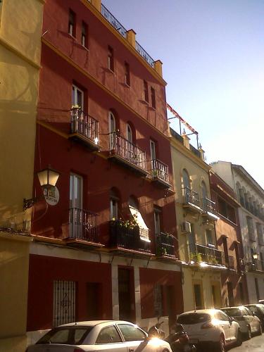 TRIANA PUREZA 1 2