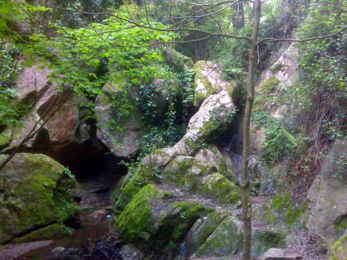  Refugi al Montseny, casa con encanto in Sant Pere de Vilamajor