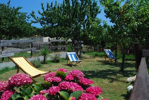  Agriturismo Terra e Cielo in Serra Riccò