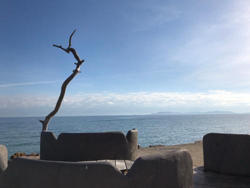 residence port hyeres les palmiers