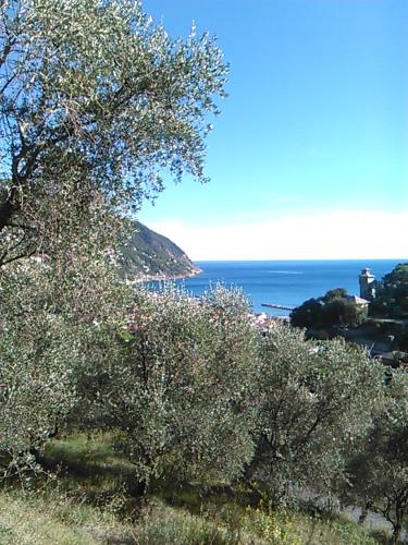  Ariabuona in Moneglia