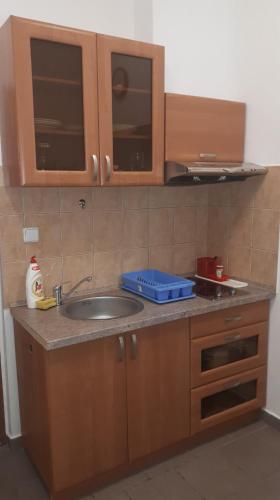 Apartmany KOS in เพค พอด สเนซคู