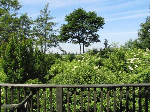 Skats, Nordsee-Paradies in Barlt
