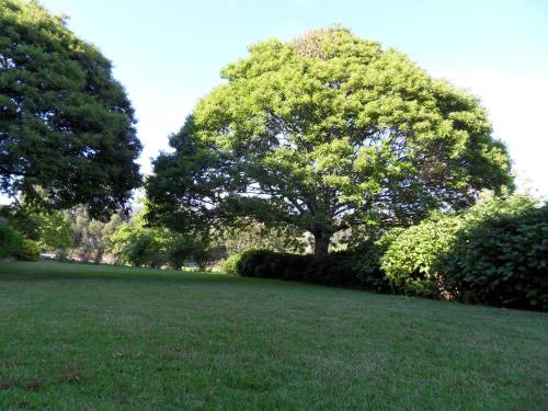 Quinta Do Bento Novo - Casa de Campo - Turismo Rural