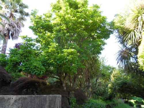 Quinta Do Bento Novo - Casa de Campo - Turismo Rural