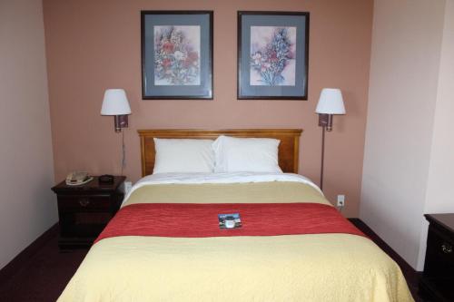 1 queen bed