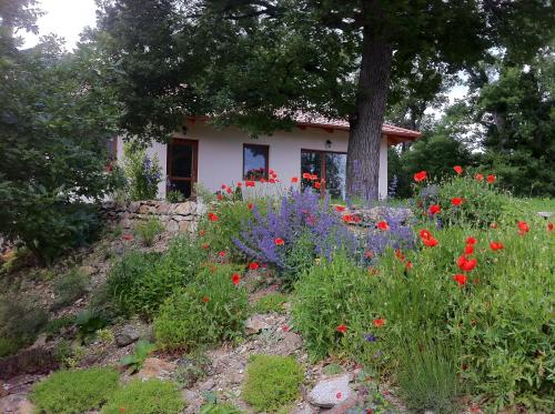 Apartmánový dom Harmónia