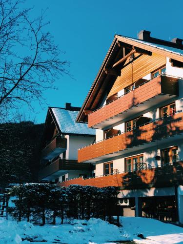 Dachstein view ski apartment in Gosau, Österreich