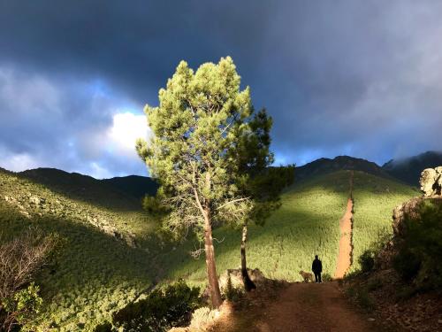  La Picota de Herguijuela in Herguijuela de la Sierra