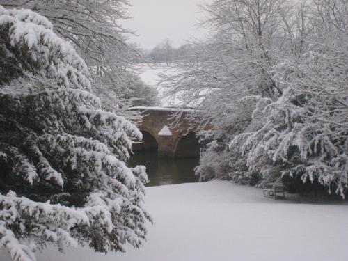 Castle Farm Guest House - image 4