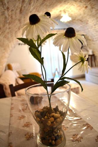 Converse fra i trulli – Alberobello, LA