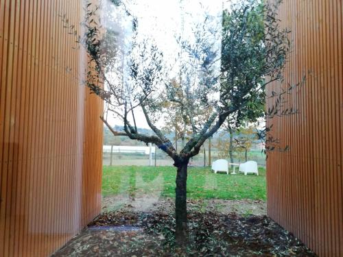 奥利沃农场乡村民宿