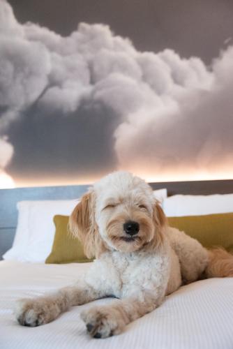 The Novotel Toronto Center Hotel