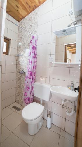 Vila Pegaz - image 5