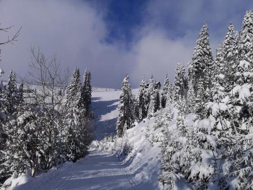 Horský apartmán 212 - Cihlářka