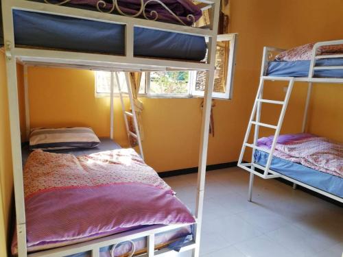 Gondar Backpackers