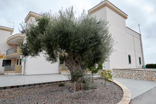 Casa Bellavista