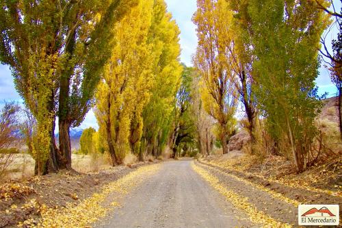 Ecoposada El Mercedario