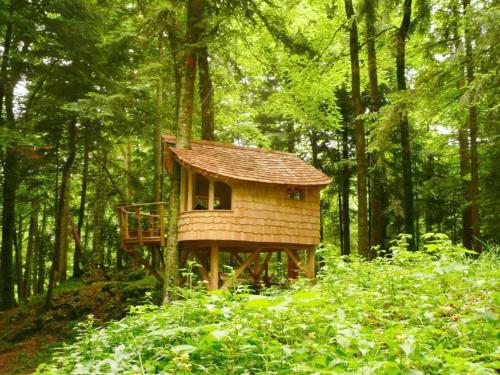 Cabane sur pilotis - La Fougère