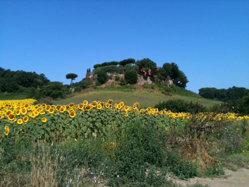 Parco delle Nazioni - Relax Grand Resort - image 14