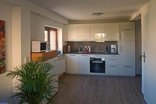 FeWo „Zum Napoleonstein“, Drážďany (fotografie 5)