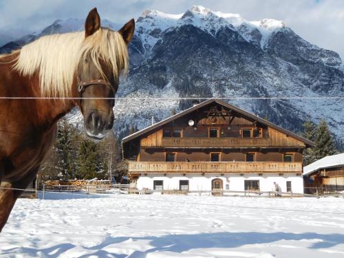 Thoamlhof in Leutasch, Österreich