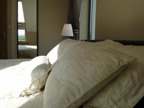 Blackberry Lodge Accommodation - image 5