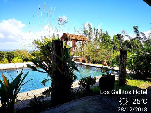 Los Gallitos Eco Lodge